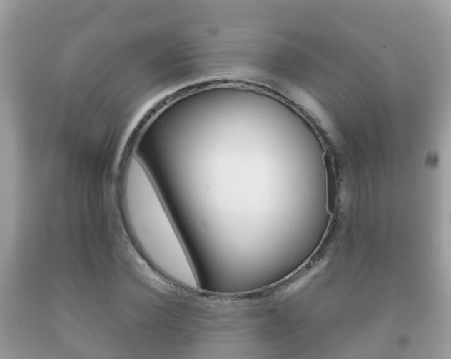 X0000092220924200709140918