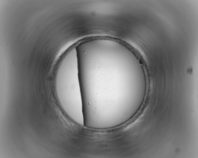 X0000092220925200709140918