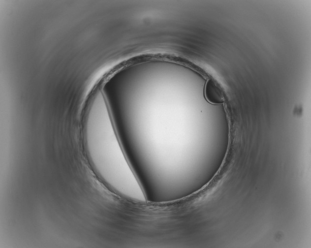 X0000092220927200709140918