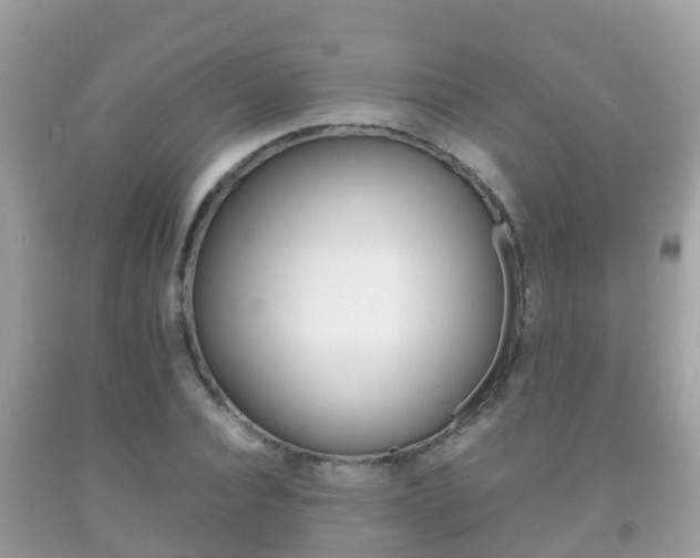 X0000092220928200709140918