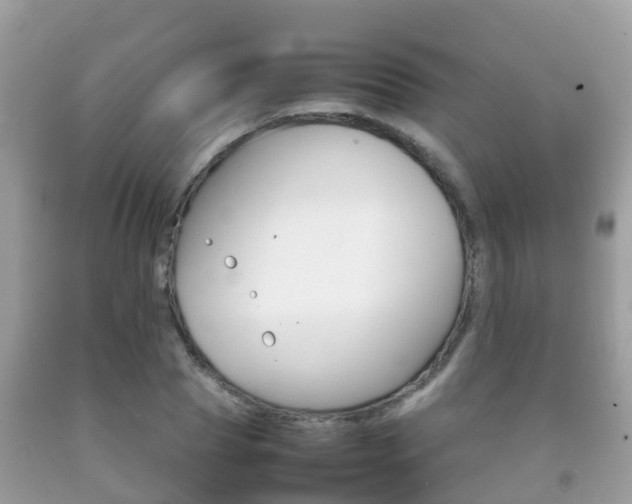 X0000092220929200709140918