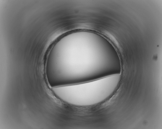 X0000092220931200709140918