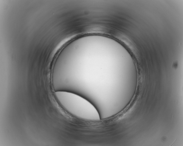 X0000092220933200709140918