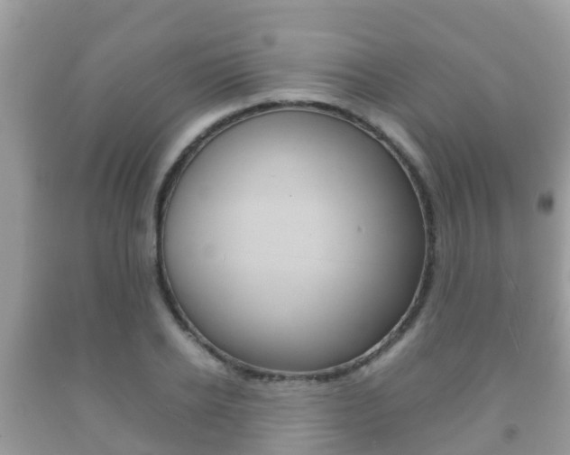 X0000092220934200709140918