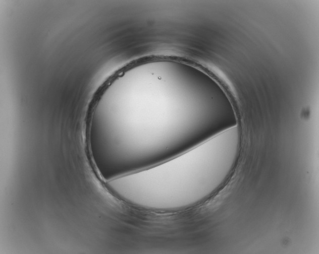 X0000092220935200709140918