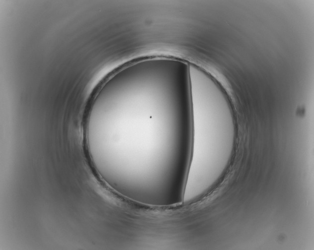 X0000092220936200709140918