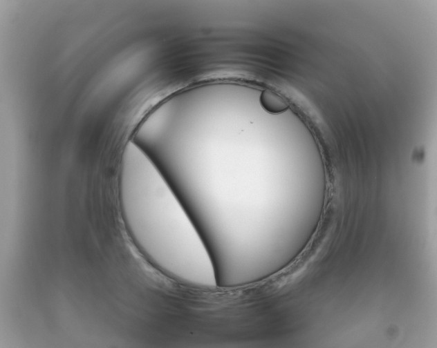 X0000092220937200709140919