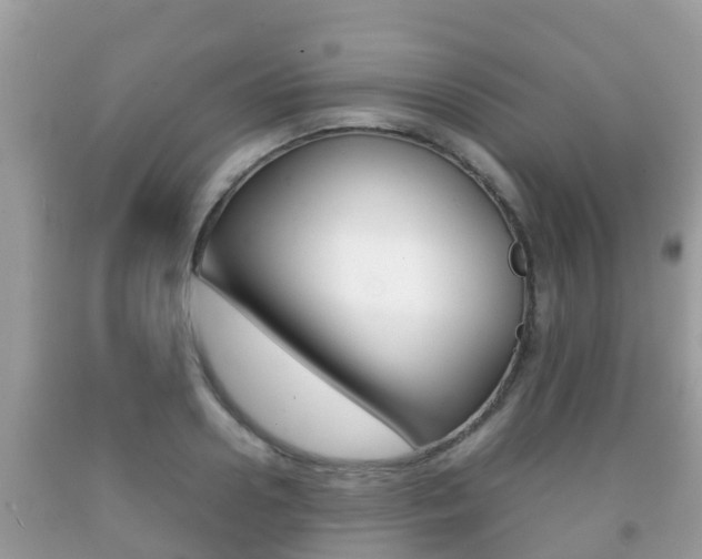 X0000092220938200709140919