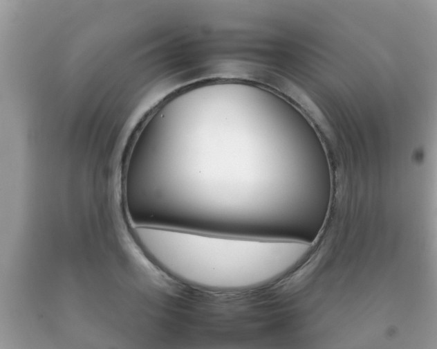 X0000092220939200709140919