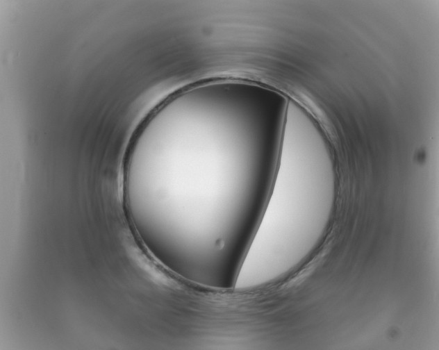 X0000092220940200709140919