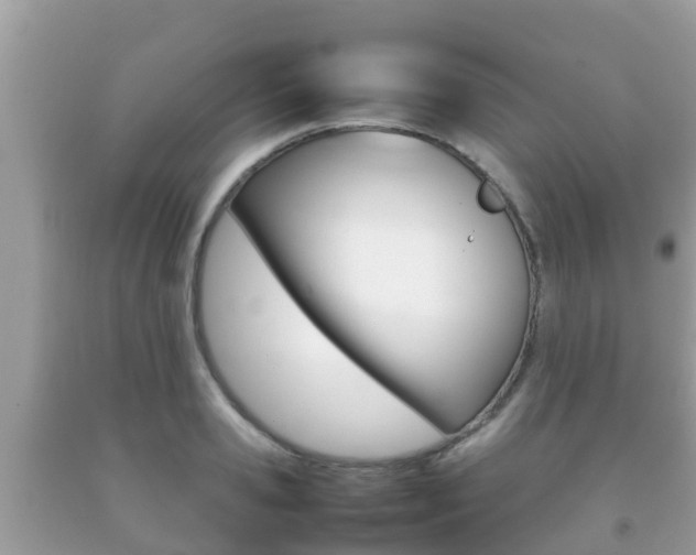 X0000092220941200709140919