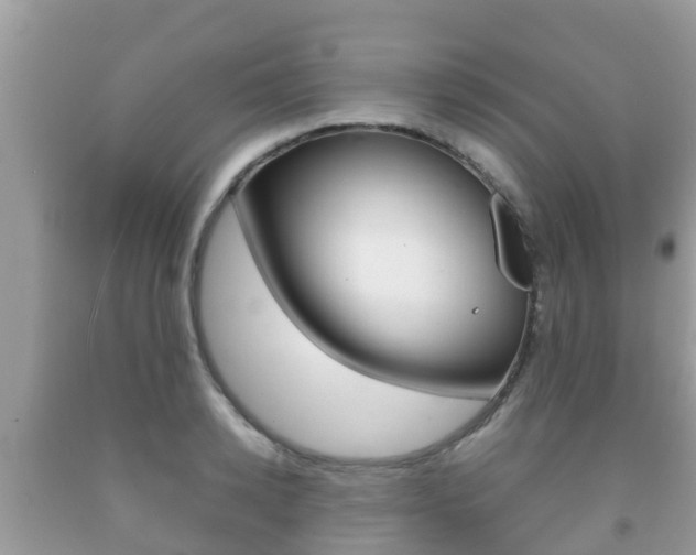 X0000092220942200709140919