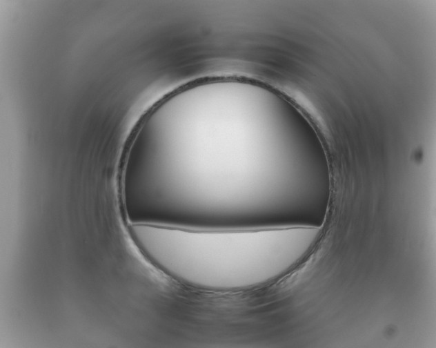 X0000092220943200709140919