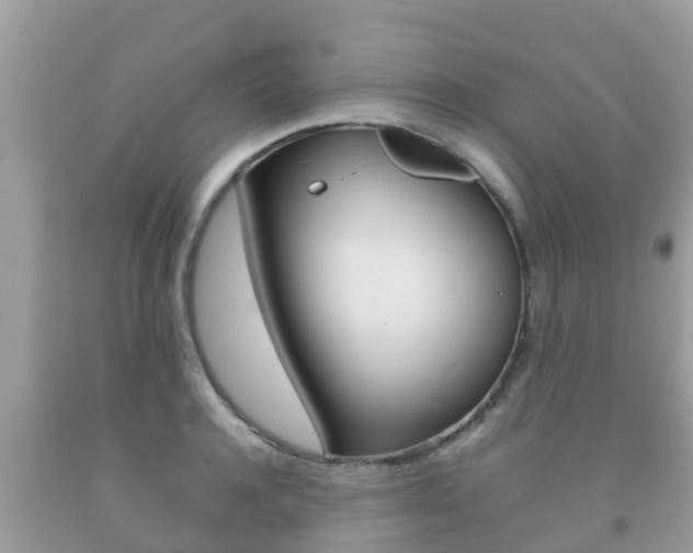 X0000092220944200709140919