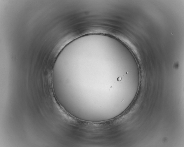 X0000092220945200709140919
