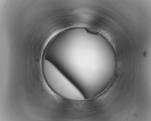 X0000092220947200709140919