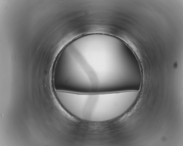 X0000092220949200709140919