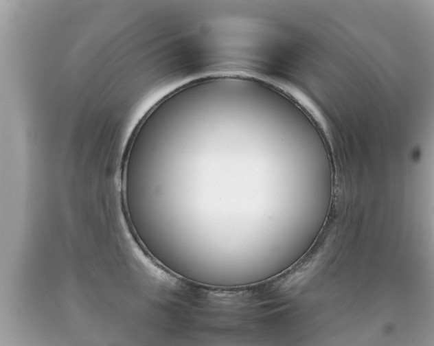 X0000092220951200709140919