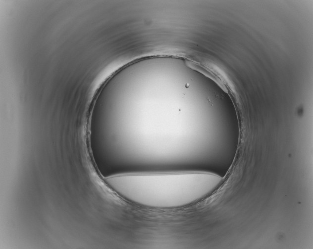 X0000092220952200709140919