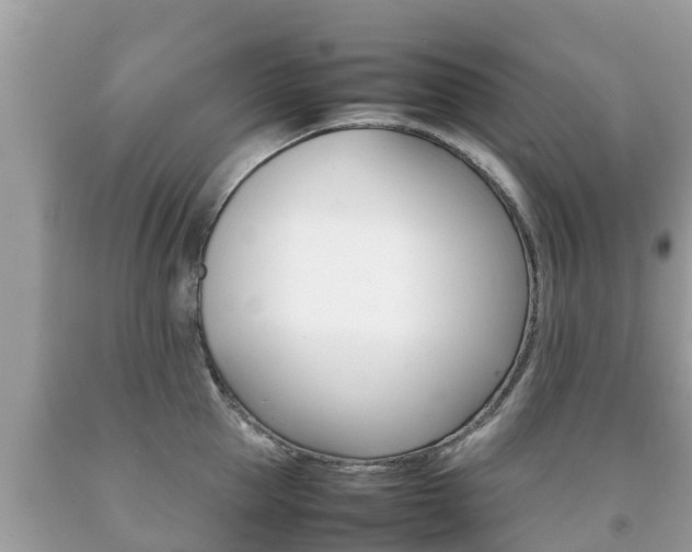 X0000092220953200709140919
