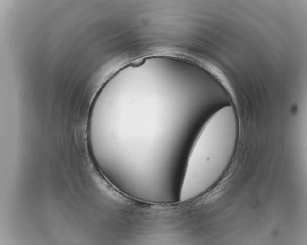 X0000092220954200709140919