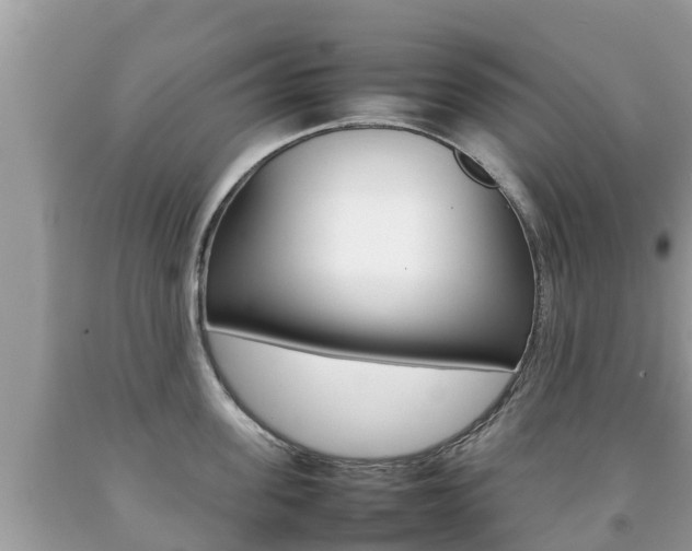 X0000092220955200709140919