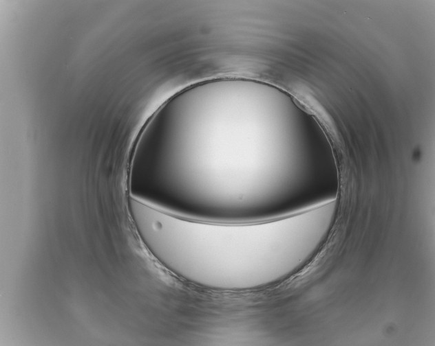 X0000092220956200709140919