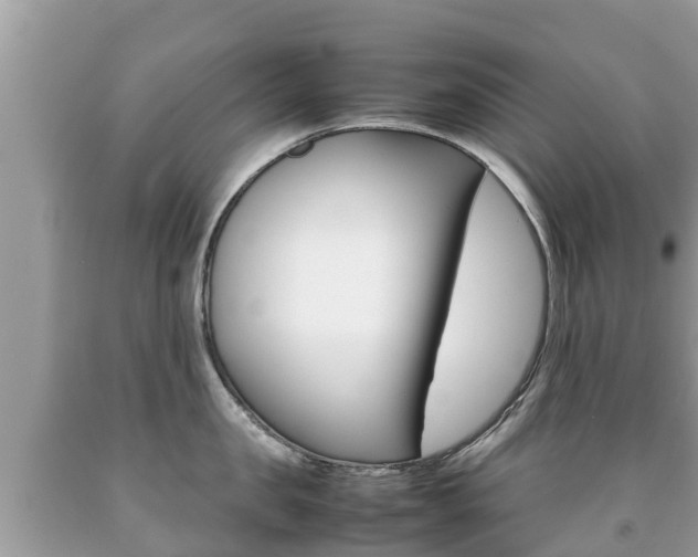X0000092220957200709140919