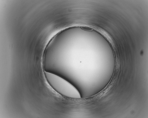 X0000092220958200709140919