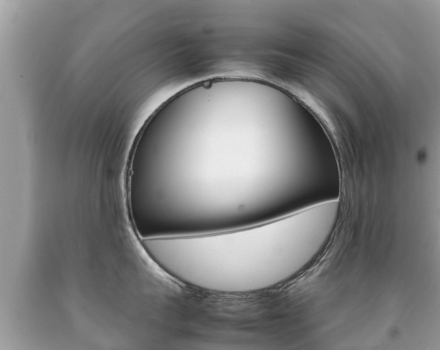 X0000092220959200709140919