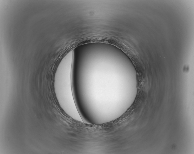 X0000092220961200709140918