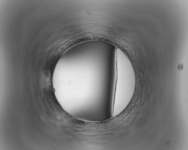X0000092220963200709140918