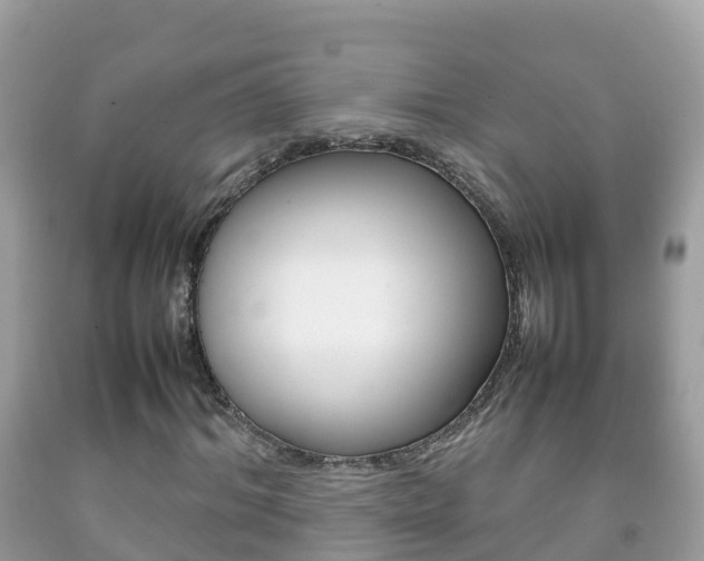 X0000092220964200709140918