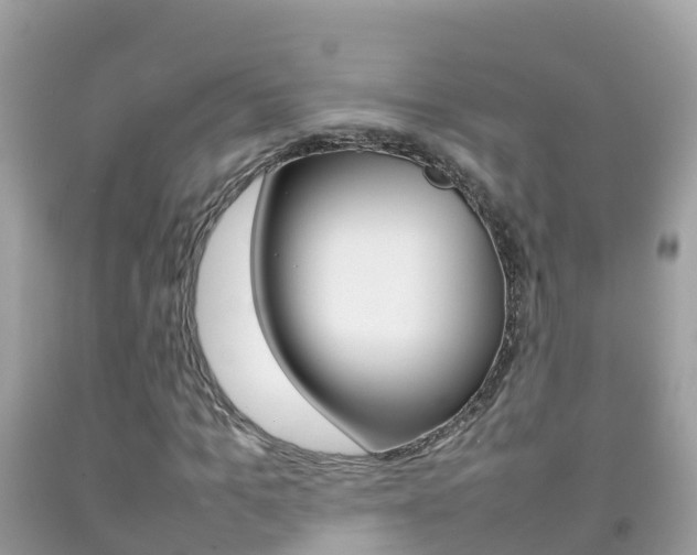 X0000092220965200709140918