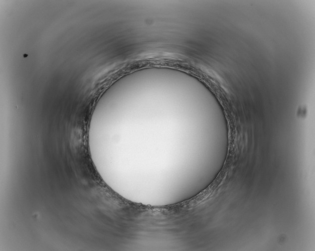 X0000092220966200709140918