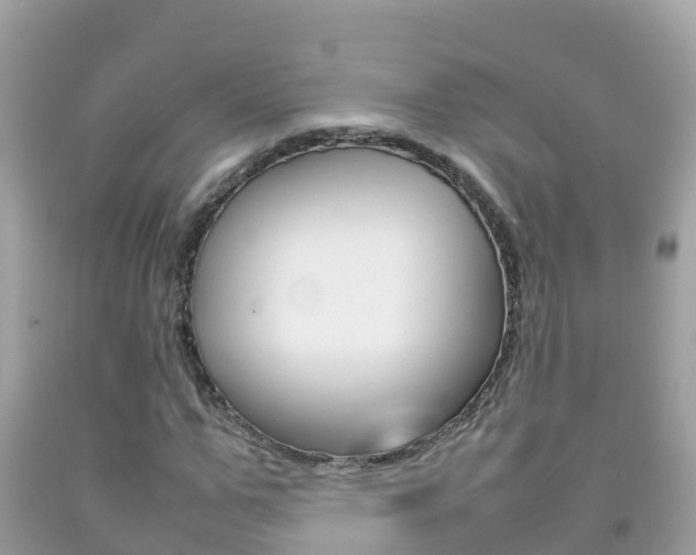 X0000092220967200709140918