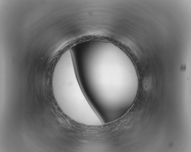 X0000092220968200709140918