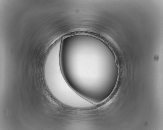 X0000092220969200709140918