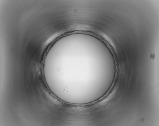 X0000092220970200709140918