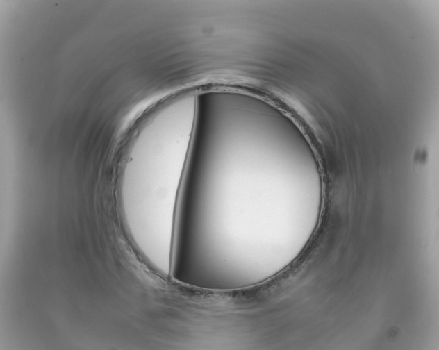 X0000092220971200709140918