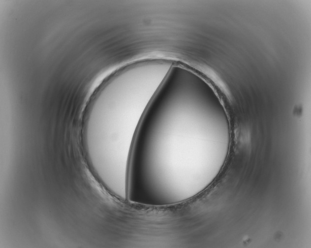 X0000092220972200709140918