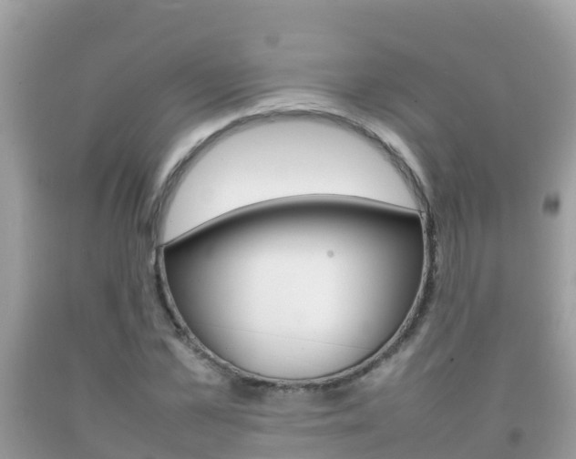 X0000092220973200709140918