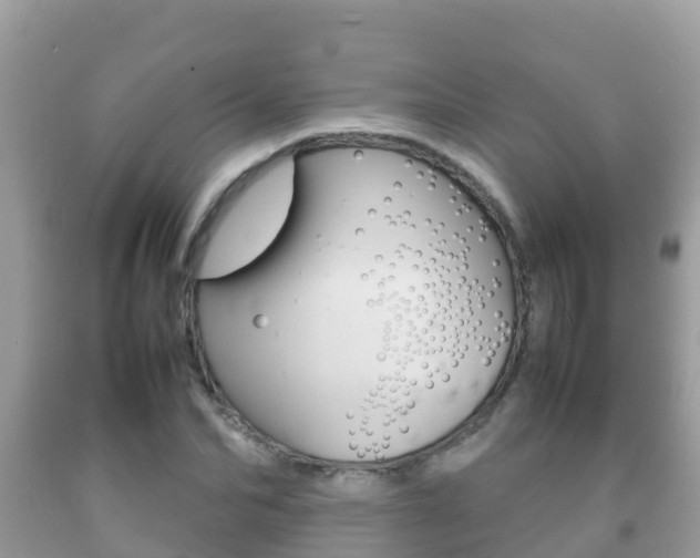 X0000092220974200709140918