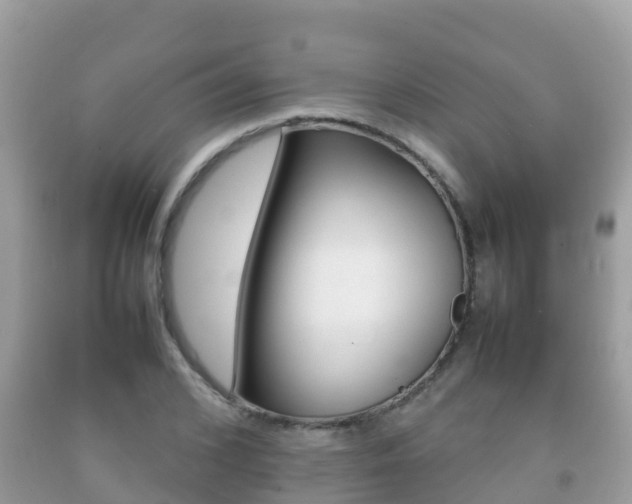 X0000092220976200709140918