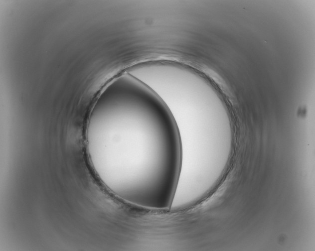 X0000092220977200709140918