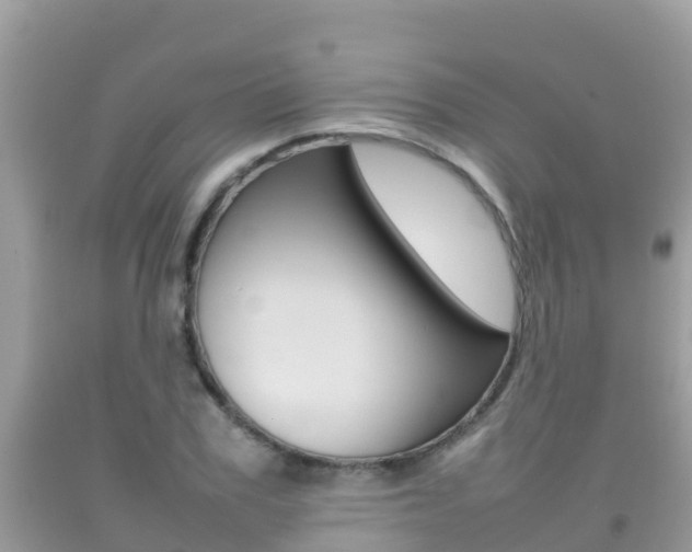 X0000092220979200709140918