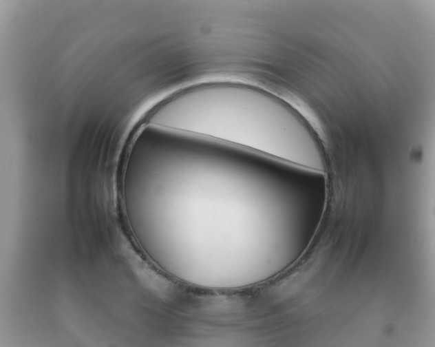 X0000092220980200709140918