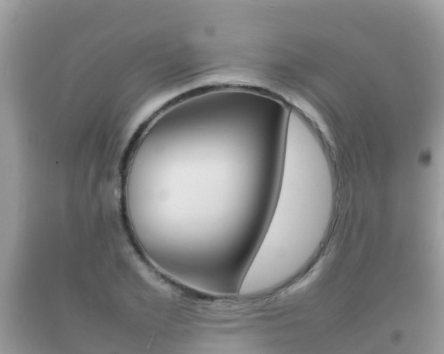 X0000092220981200709140918