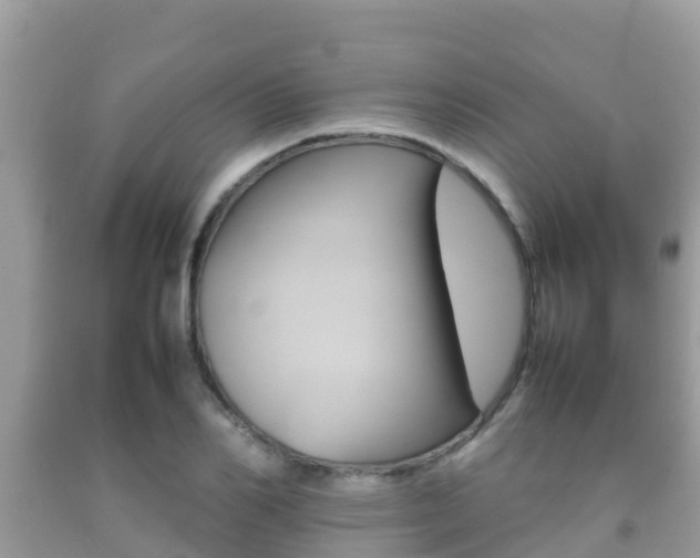 X0000092220982200709140918