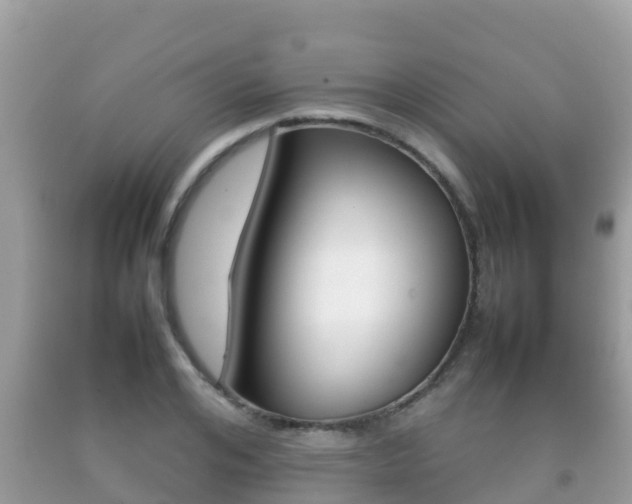 X0000092220984200709140918